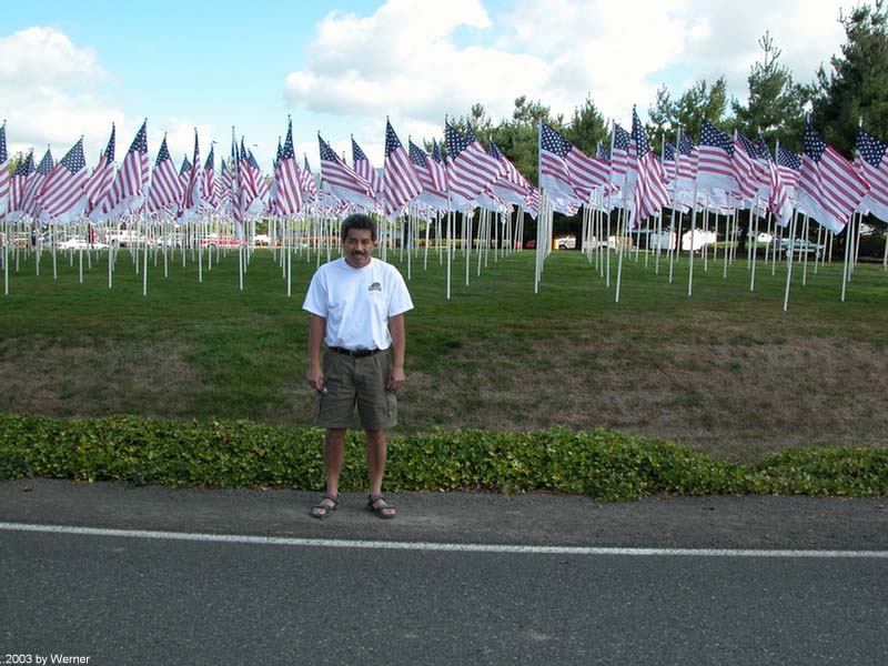 werner2003_84