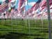 werner2003_81